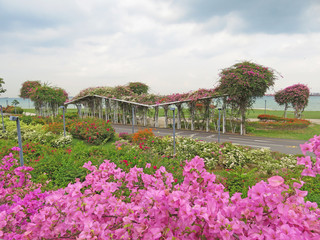 Photo taken in Singapore. East Coast Park Singapore