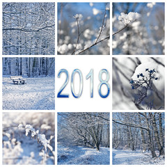 Wall Mural - 2018, snow and winter landscapes square greeting card