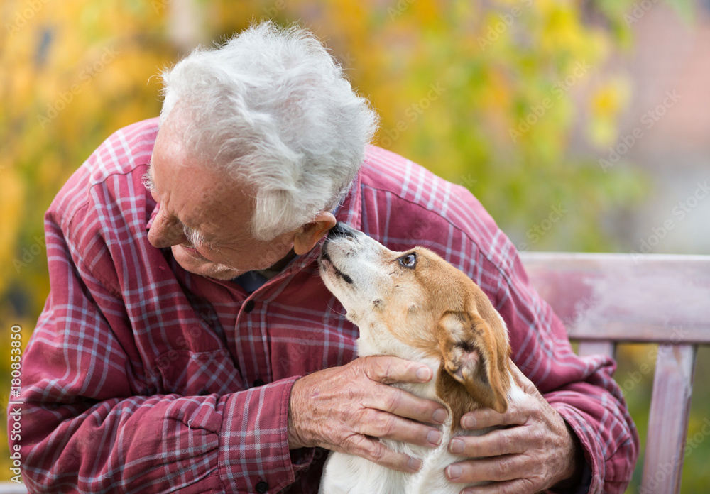 Old man with dog on bench in park Stock Photo | Adobe Stock