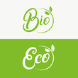 Eco and bio hand written lettering logo, emblem with leaves.