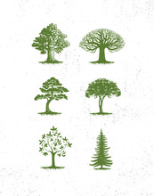 Big Collection Of Tree Illustrations, Pine Trees, Evergreen Trees, Grass And Other Type Of Trees
