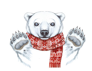 Drawing with a watercolor of a polar bear in the technique of a cartoon, on a theme of the new year, Christmas, in a knitted scarf with a jacquard pattern of red, joyful, smiling, waving his paw, whit