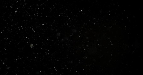 Wall Mural - slow motion snowfall bokeh lights on black background, shot of flying snowflakes in the air