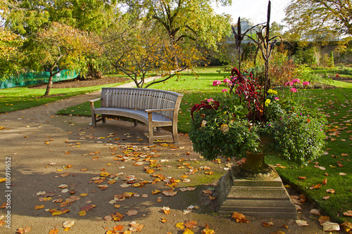 Plakat Przytulna ławka w ogrodzie botanicznym w Oksfordzie. Jesień, listopad 2017 r.