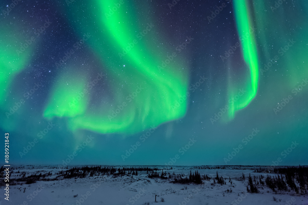 Northern Lights Above the Tundra - obrazy, fototapety, plakaty 