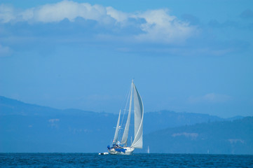  Sailboats Reaching in Straights of Juan Defuca