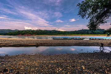 Wall Mural - Manu National Park, Peru - August 09, 2017: Landscape of the Amazon rainforest of Manu National Park, Peru