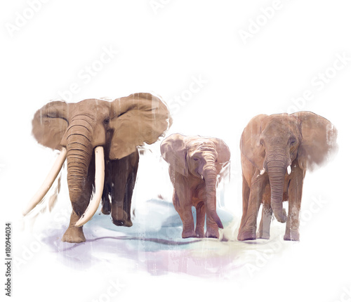obraz-rodziny-elephant