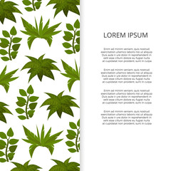 Sticker - Flat green plants banner design