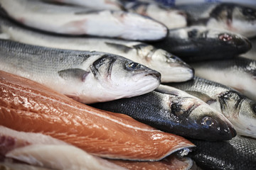 fresh fish in a fishshop