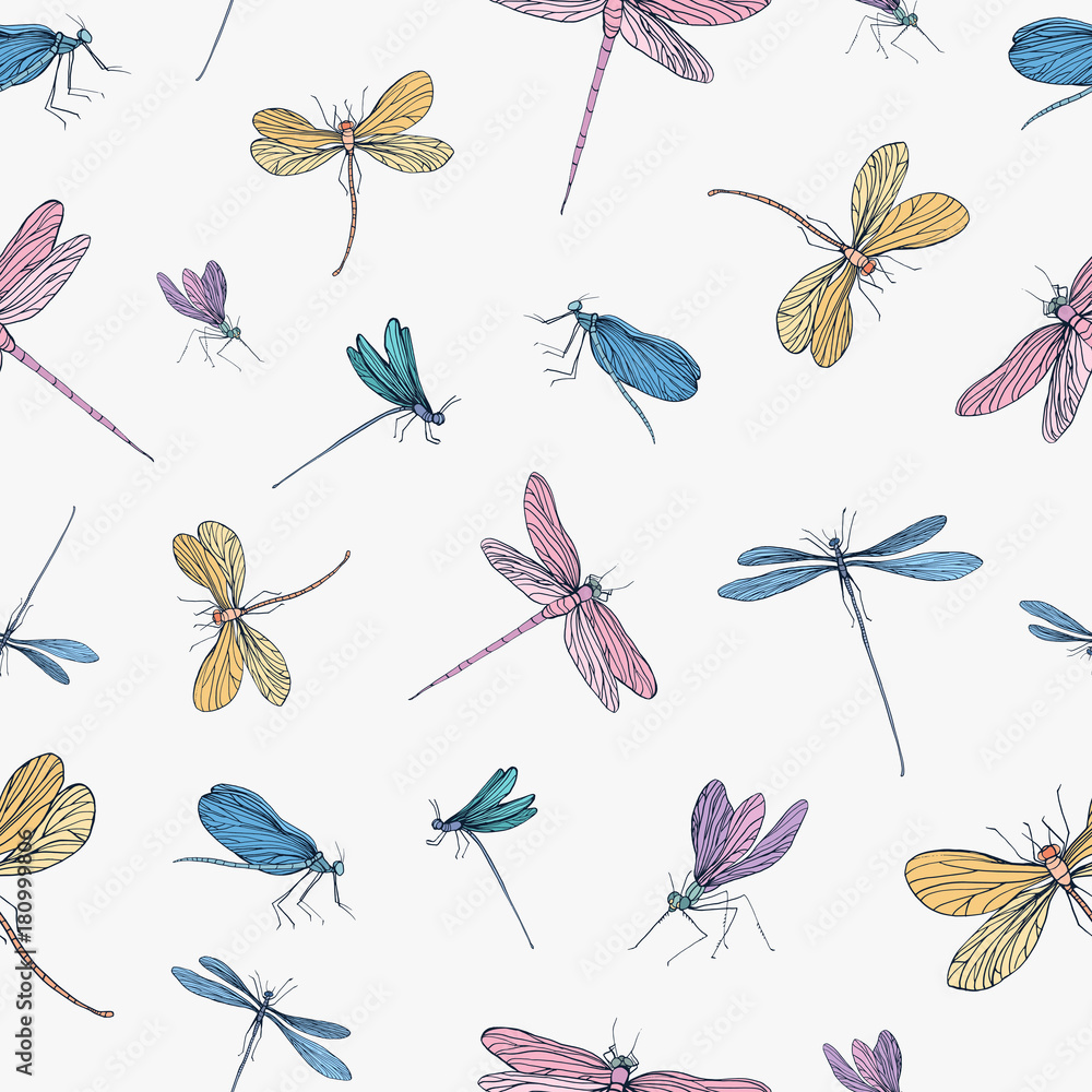 Seamless pattern with colorful hand drawn dragonflies on white ...