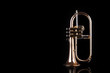Trumpet, wind instrument