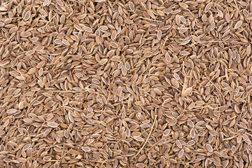 Wall Mural - Pile of Caraway Seeds Background