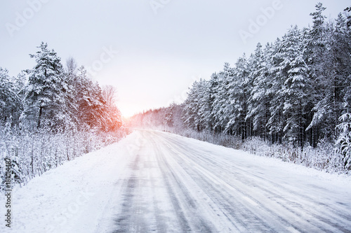 Plakat Zimowa droga przez las