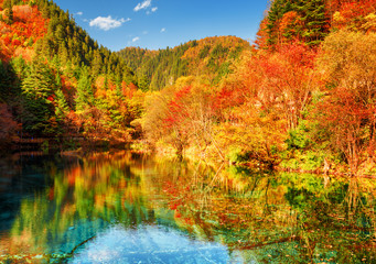 Autumn woods reflected in crystal water of the Five Flower Lake