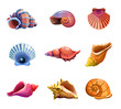 Colorful tropical set of sea shells. Underwater icons. Vector illustration