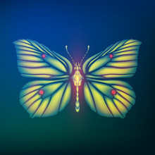 Butterfly Gonepteryx Rhamni From Glass Shards In Neon Light