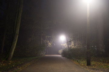 park covered in fog and darkness