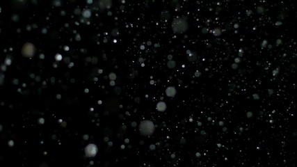 Wall Mural - snowfall bokeh lights on black background, shot of flying snowflakes in the air