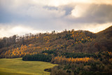 Fototapeta Tęcza - trees on a field in autumn nature landscape