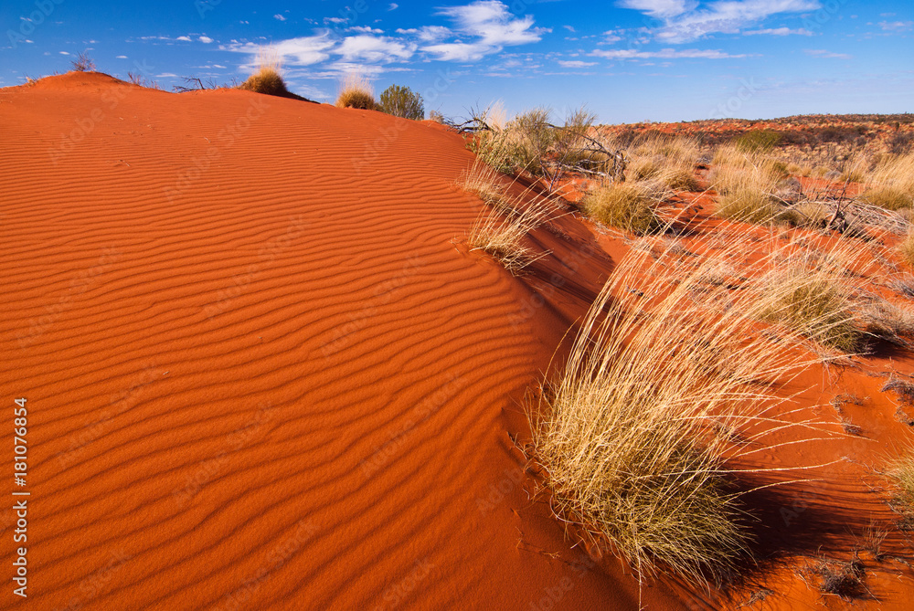 Red sand dunes and desert vegetation in central Australia - obrazy, fototapety, plakaty 