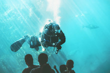 Scuba Diver Underwater In Fish Aquarium Attraction Entertainment Unrecognizable People Sightseeing