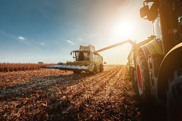 Harvesting in autumn