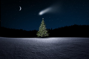 Wall Mural - Weihnachtsbaum im Wald bei Nacht