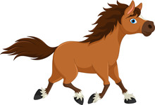 Cute Horse Cartoon Running