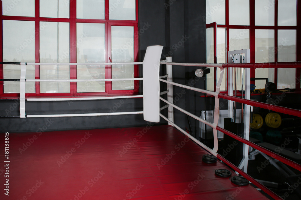 View on boxing ring in gym