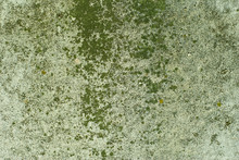 Background, Texture: The Surface Of An Old Concrete Slab, Covered With Stains Of Moss Or Algae