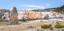 Tourists Visiting Liberty Cap And Palette Terrace In Mammoth Hot Springs Area. Yellowstone Park