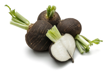 Wall Mural - Black radish