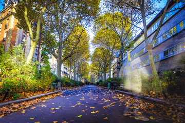 Wall Mural - Old autumn city park of Paris.