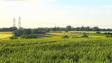 Green farming and agricultural countryside scene