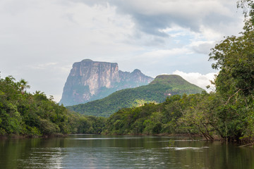 Wall Mural - View of Uripica and Autana mounts, in Amazonas state, in southern Venezuela