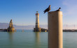 Pigeons sitting on a bollard at Lindau harbour