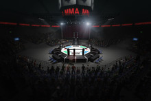 Big Mma Fighting Arena With Lots Of Fans 3d Rendering