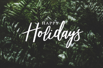 Wall Mural - happy holidays text over winter evergreen branches covered in snow