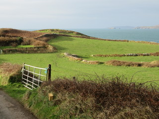 Wall Mural - Green fields on coastal landscape in Ireland