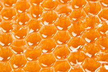 Juicy Honeycombs Texture Extreme Close-up Background