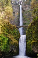 Wall Mural - Oregon Waterfall