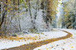 Fall leaves on a curving trail in the snow