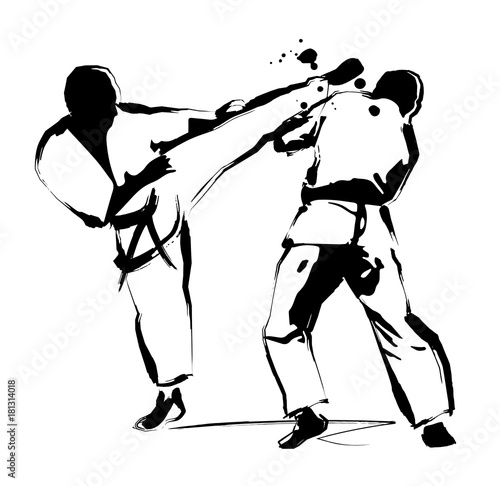 Dekoracja na wymiar  karate
