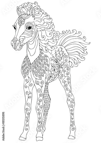 Download Foal. Hand drawn horse. Sketch for anti-stress adult coloring book in zen-tangle style. Vector ...