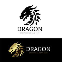 Wall Mural - Dragon Logo Template.