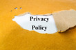 Privacy policy concept 