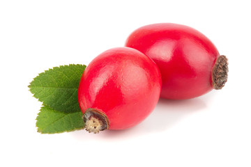 rose hip berry with leaves isolated on white background macro