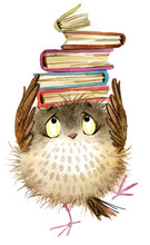Cute Owl. Watercolor Fschool Books Illustration