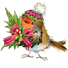 Christmas Bird Watercolor Illustration